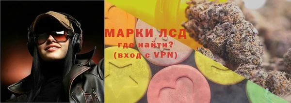 ECSTASY Тайга