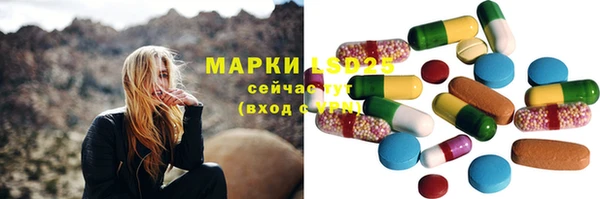 ECSTASY Тайга