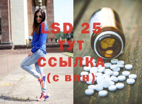 ECSTASY Тайга