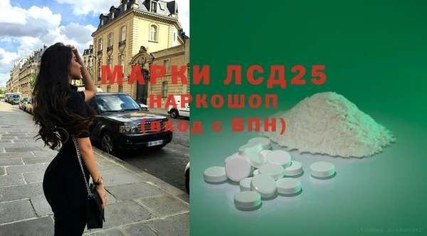ECSTASY Тайга