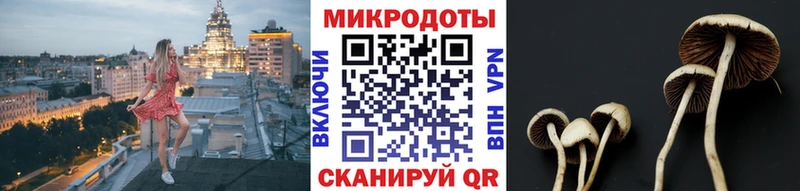Псилоцибиновые грибы прущие грибы  Купить где  Белая Холуница 